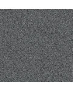 Shaw PRESCOTT VALLEY Mysterious Carpet - SH-5E831-00456