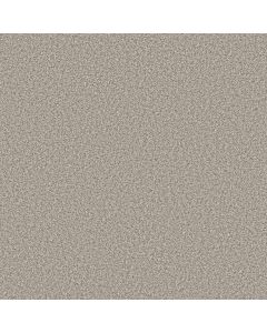 Shaw PRESCOTT VALLEY Platinum Carpet - SH-5E831-00552
