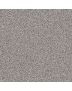 Shaw PRESCOTT VALLEY Gateway Carpet - SH-5E831-00553