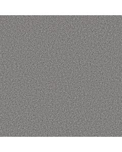Shaw PRESCOTT VALLEY Metropolis Carpet - SH-5E831-00554