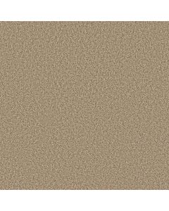Shaw PRESCOTT VALLEY Potter S Clay Carpet - SH-5E831-00623