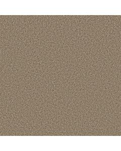 Shaw PRESCOTT VALLEY Roasted Carpet - SH-5E831-00714