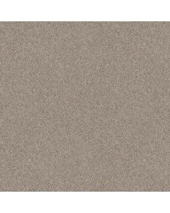 Shaw ELEVATED I Mushroom Carpet - SH-5E846-00108