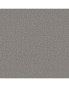 Shaw ELEVATED I London Fog Carpet - SH-5E846-00502