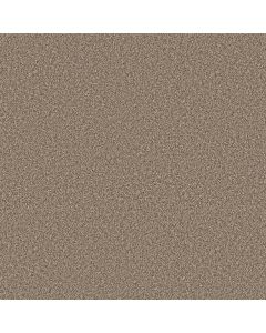 Shaw ELEVATED I Rodeo Carpet - SH-5E846-00704