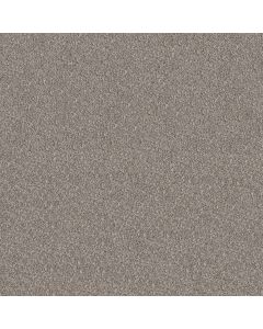 Shaw ELEVATED II Perfection Carpet - SH-5E862-00105