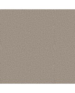 Shaw ELEVATED II Dawn Beige Carpet - SH-5E862-00107