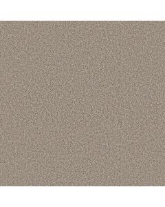 Shaw ELEVATED II Nutria Carpet - SH-5E862-00109