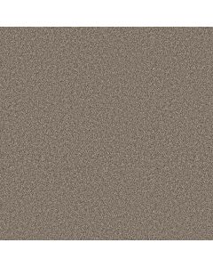 Shaw ELEVATED II Prairie Carpet - SH-5E862-00702