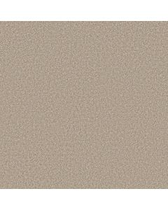 Shaw ELEVATED III Warm Glow Carpet - SH-5E863-00110