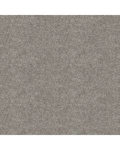 Shaw ELEVATED III River Rock Carpet - SH-5E863-00500