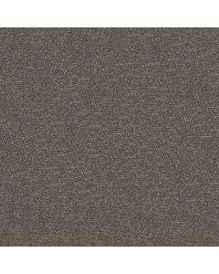 Shaw ELEVATED III Flint Carpet - SH-5E863-00503