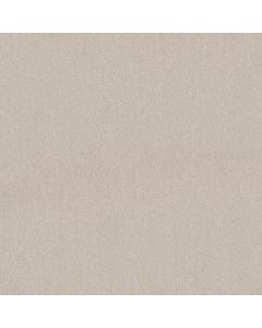 Shaw EASY SPIRIT I 12' Minimalist Carpet - SH-5E864-00100