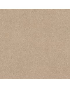 Shaw EASY SPIRIT II 12' Captiva Carpet - SH-5E865-00114