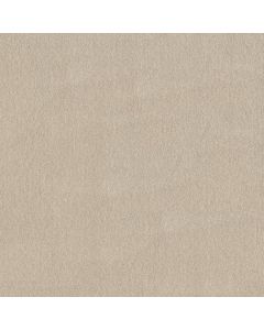 Shaw EASY SPIRIT III 12' Bleached Carpet - SH-5E866-00101