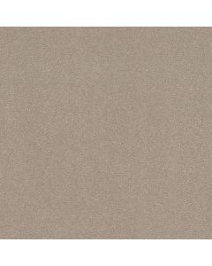 Shaw EASY SPIRIT III 12' Dreamy Carpet - SH-5E866-00103
