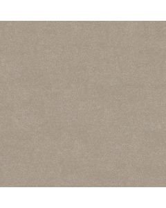 Shaw EASY SPIRIT III 12' Greige Carpet - SH-5E866-00106