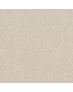 Shaw EASY SPIRIT III 12' Soft Light Carpet - SH-5E866-00110