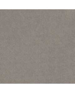 Shaw EASY SPIRIT III 12' Dusty Trail Carpet - SH-5E866-00503