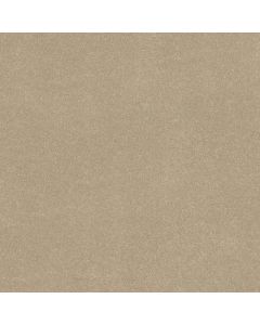 Shaw EASY SPIRIT III 15' Raw Lumber Carpet - SH-5E867-00102