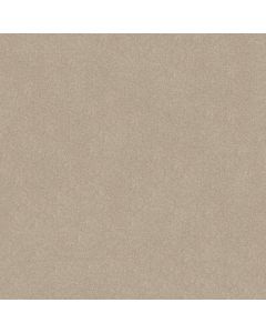 Shaw EASY SPIRIT III 15' Dreamy Carpet - SH-5E867-00103