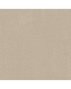 Shaw EASY SPIRIT III 15' Cream Carpet - SH-5E867-00111
