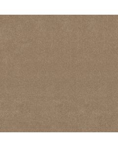 Shaw EASY SPIRIT III 15' Stone House Carpet - SH-5E867-00115