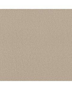 Shaw STUDIO SET Twine Carpet - SH-5E869-00100