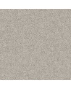Shaw STUDIO SET Forest Fog Carpet - SH-5E869-00107