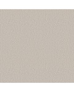 Shaw STUDIO SET Scotch Mist Carpet - SH-5E869-00109
