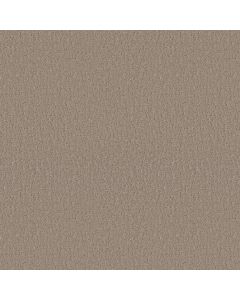 Shaw STUDIO SET Kindling Carpet - SH-5E869-00113
