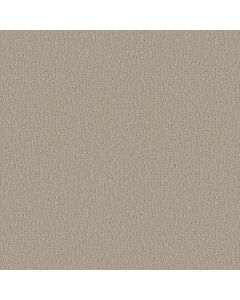 Shaw STUDIO SET Sandstone Carpet - SH-5E869-00115