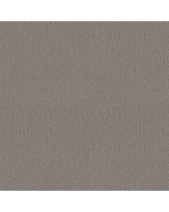 Shaw STUDIO SET Fallen Acorn Carpet - SH-5E869-00501