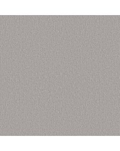 Shaw STUDIO SET Sterling Carpet - SH-5E869-00556