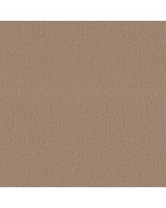 Shaw STUDIO SET Worn Path Carpet - SH-5E869-00700