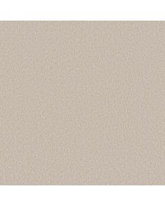 Shaw VELVET TOUCH I Soft Sense Carpet - SH-5E871-00101