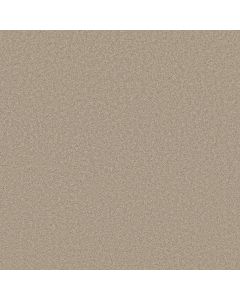 Shaw VELVET TOUCH I Chic Greige Carpet - SH-5E871-00104
