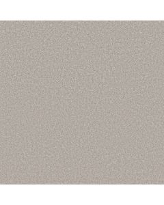 Shaw VELVET TOUCH I Gravity Carpet - SH-5E871-00501