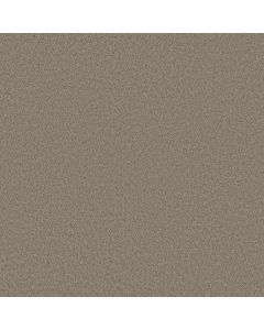 Shaw VELVET TOUCH I Plaza Taupe Carpet - SH-5E871-00702