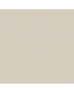 Shaw VELVET TOUCH II Natural Carpet - SH-5E872-00100