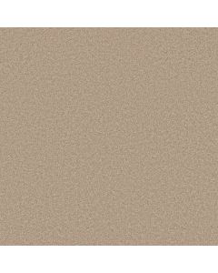 Shaw VELVET TOUCH II Straw Hat Carpet - SH-5E872-00103