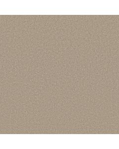 Shaw VELVET TOUCH II Chic Greige Carpet - SH-5E872-00104