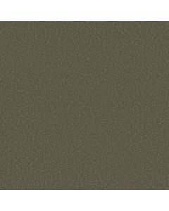 Shaw VELVET TOUCH II Rerooted Nature Carpet - SH-5E872-00300