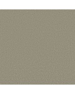 Shaw VELVET TOUCH II Organic Grown Carpet - SH-5E872-00320