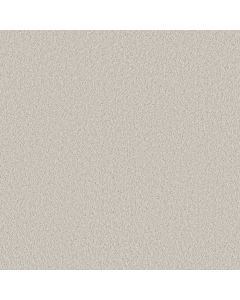 Shaw VELVET TOUCH II Frozen Carpet - SH-5E872-00500