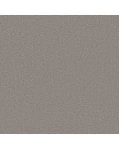 Shaw VELVET TOUCH II Vintage Carpet - SH-5E872-00502