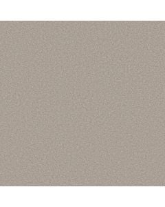 Shaw VELVET TOUCH II Rock Crystal 5E872-00503 Carpet