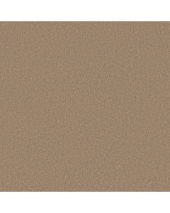 Shaw VELVET TOUCH II Canoe 5E872-00700 Carpet