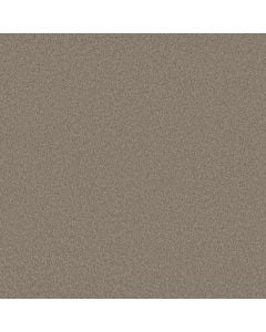 Shaw VELVET TOUCH II Plaza Taupe 5E872-00702 Carpet