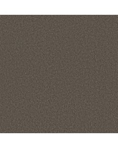 Shaw VELVET TOUCH II Ashes Carpet - SH-5E872-00750
